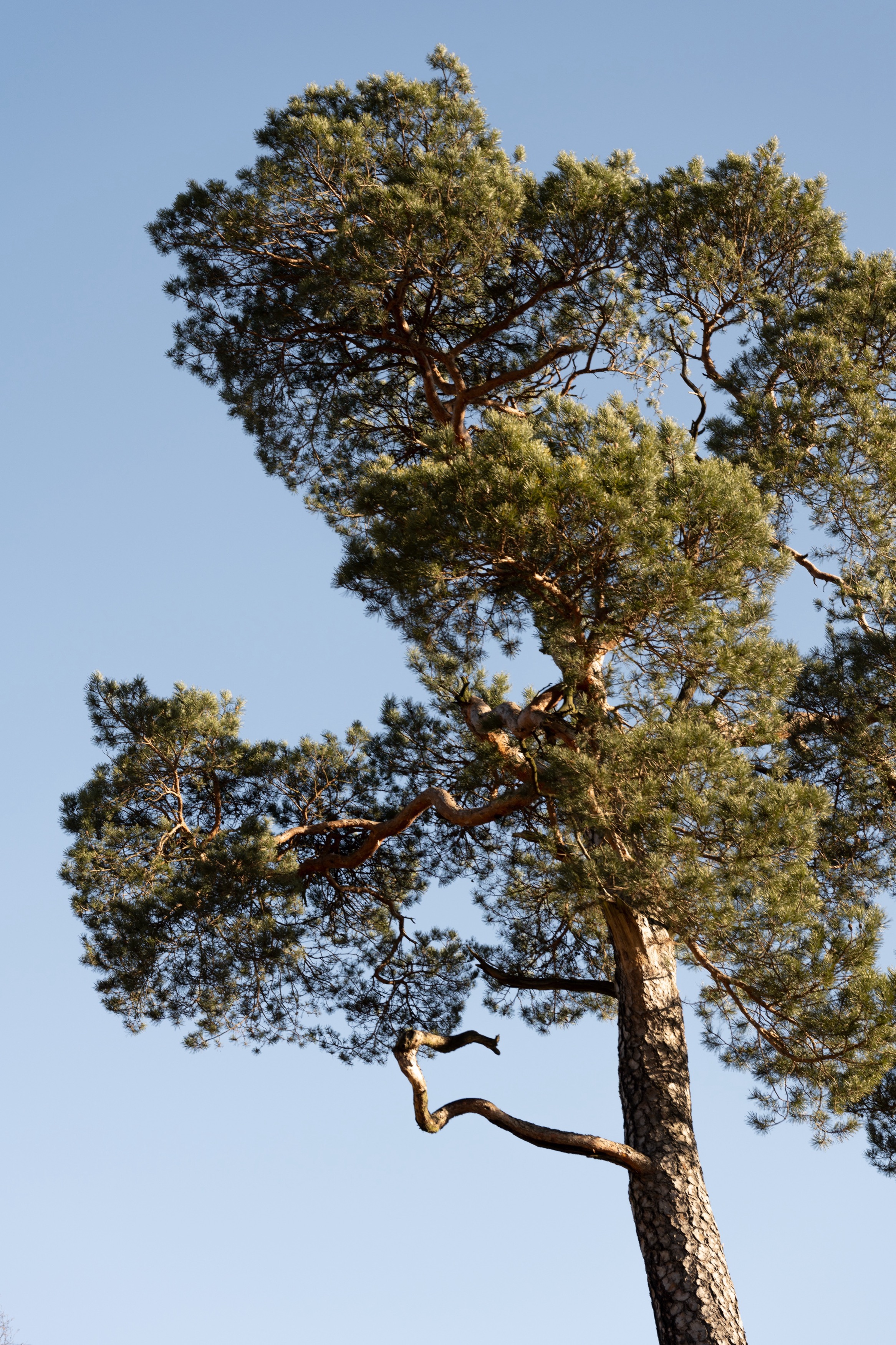 Studio HENK Trace Outdoor